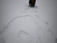 whatsapp image 2026-02-04 at 21.26.40 1